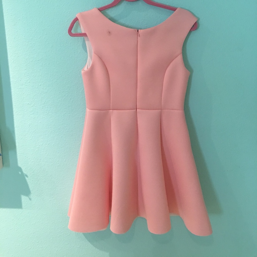 Pink Dress - Picture 3 of 4